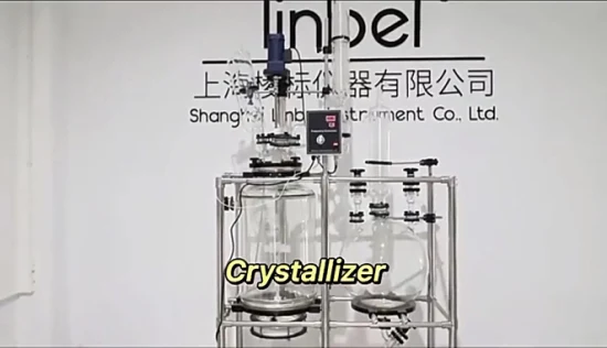 Filtro Nutsche del reattore di vetro del filtro del reattore di cristallizzazione dell'attrezzatura di laboratorio chimico 20L 50L 100L con la bottiglia di raccolta